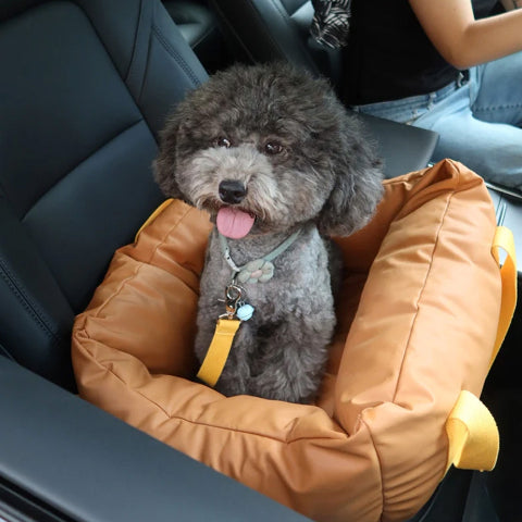 Car Cushion for Dog – Protection and Softness on the Road 