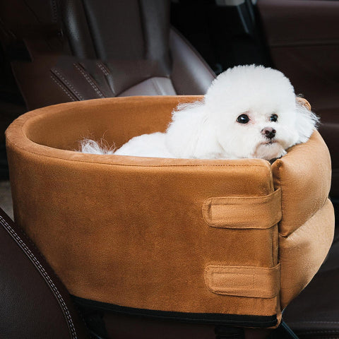 Car Basket for Dog – Comfort and Safety 