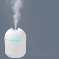 Mini nawilżacz USB — Świeżość i dobrostan natychmiastowy 